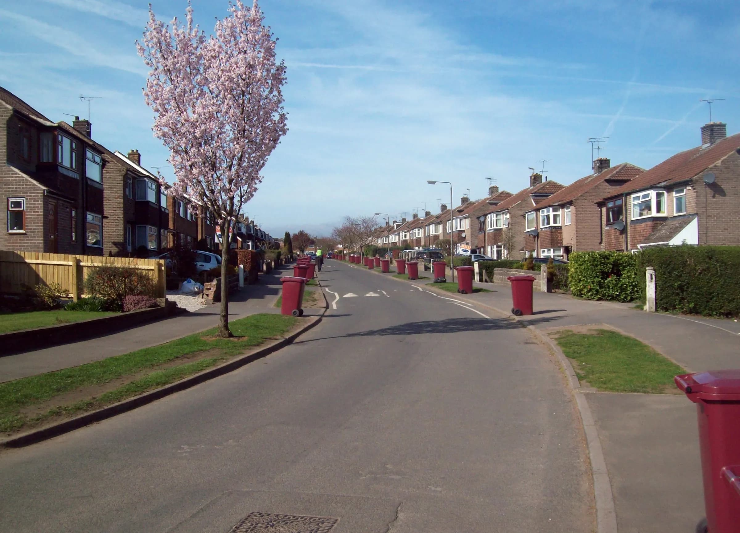 A suburban street of semi-detached houses with a wheelie bin out at every drive on collection day