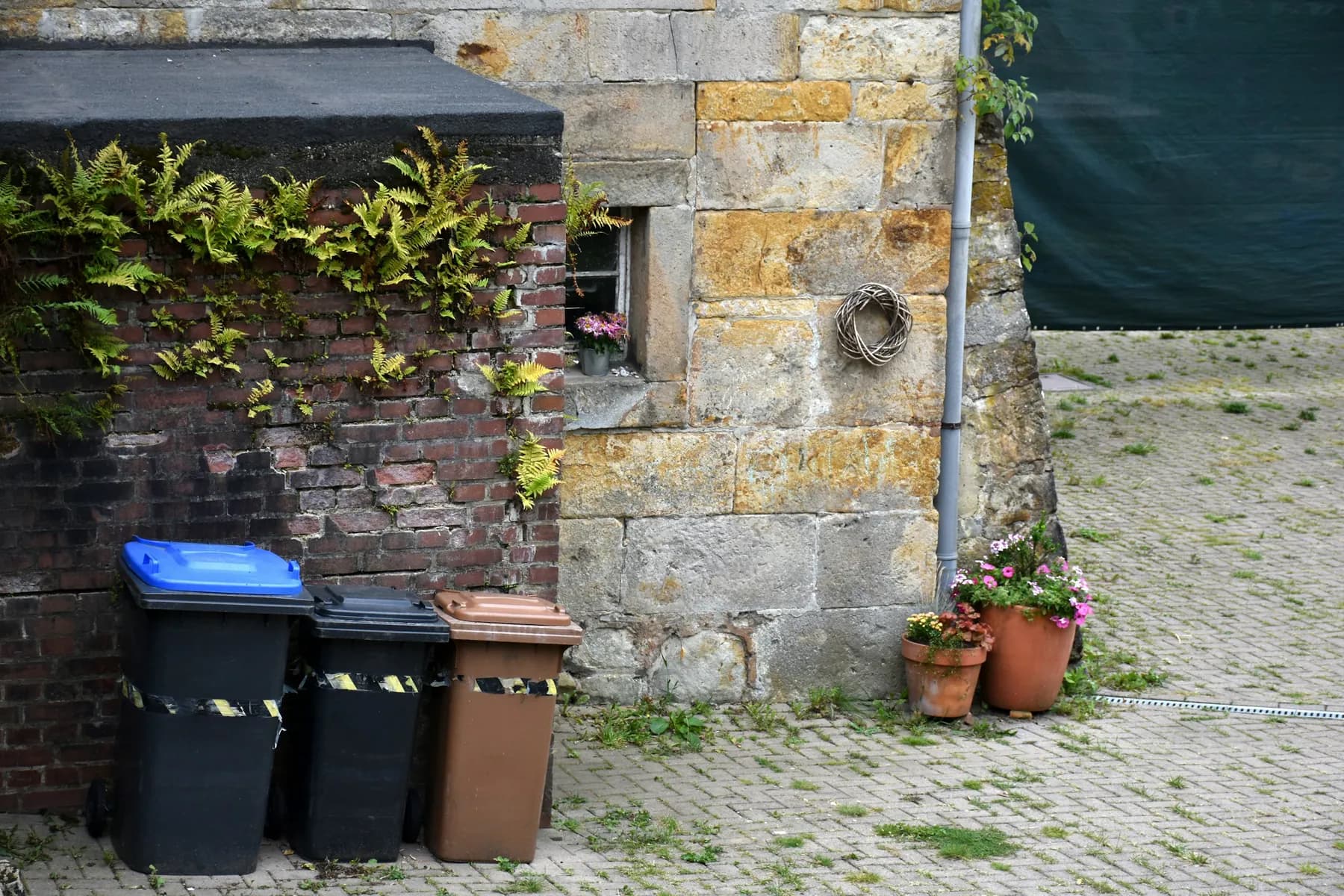 Blue, black and brown wheelie bins beside an old stone wall